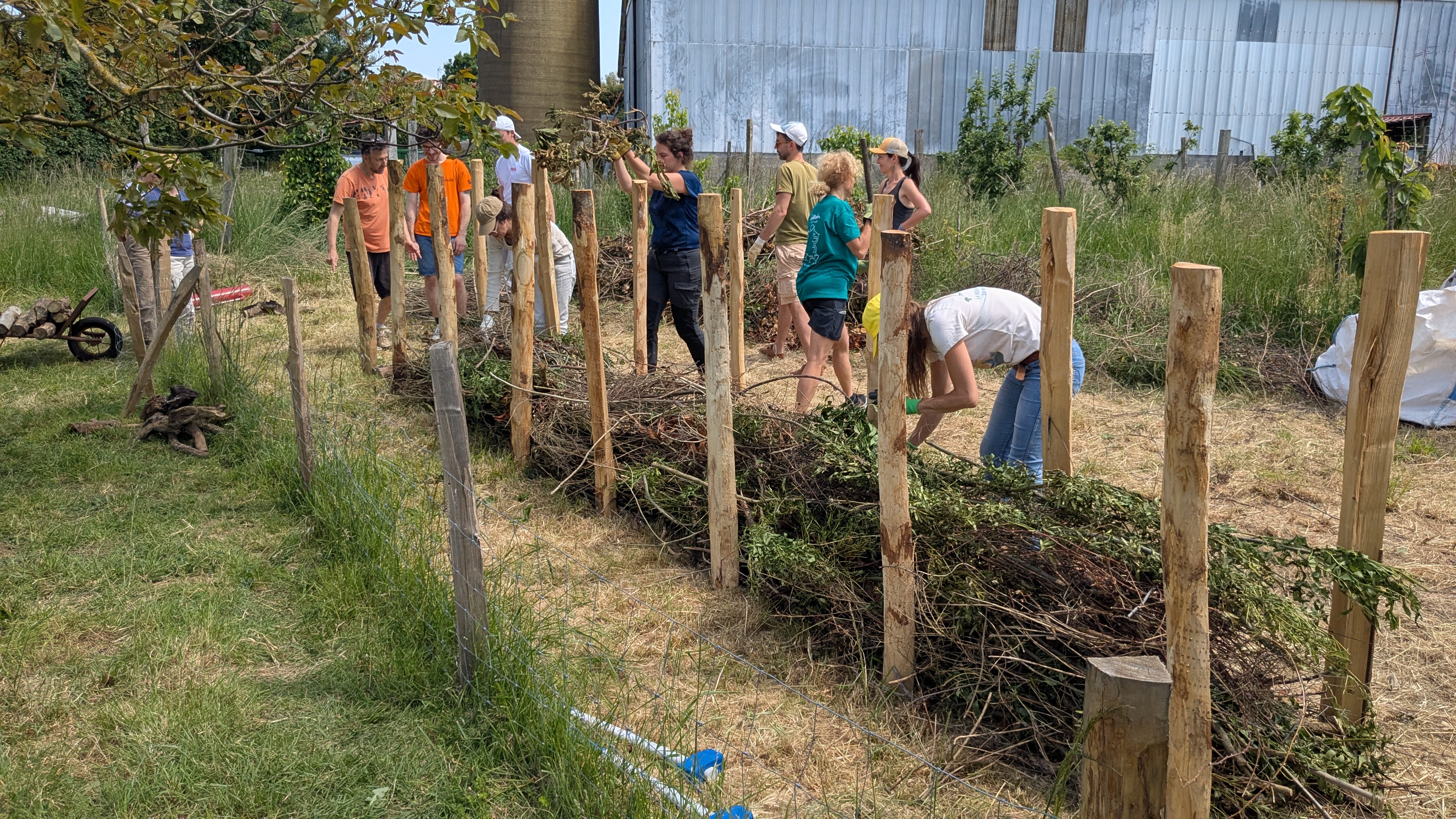 Chantier participatif - pose de nichoirs